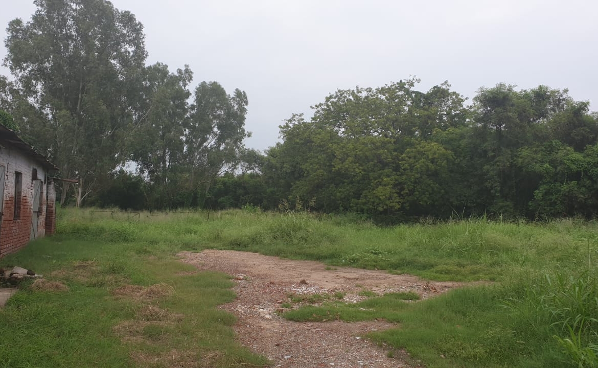 Industrial land Plot for Sale in Chandigarh