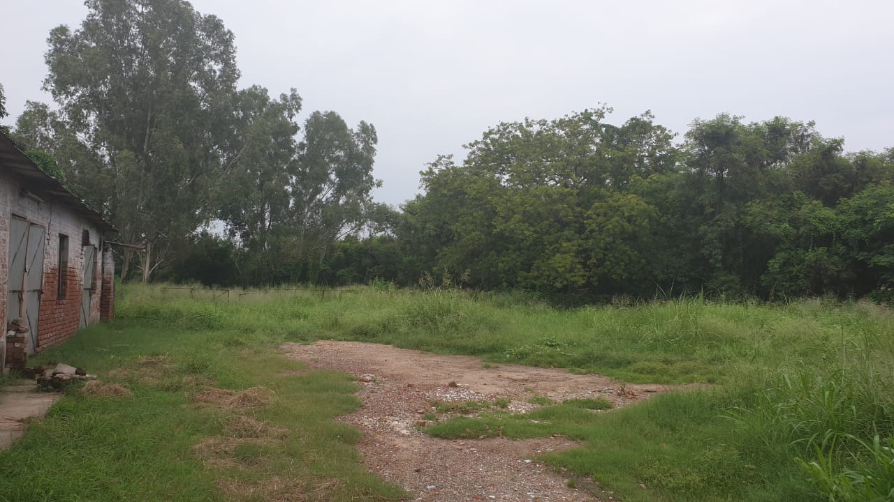 Industrial land Plot for Sale in Chandigarh