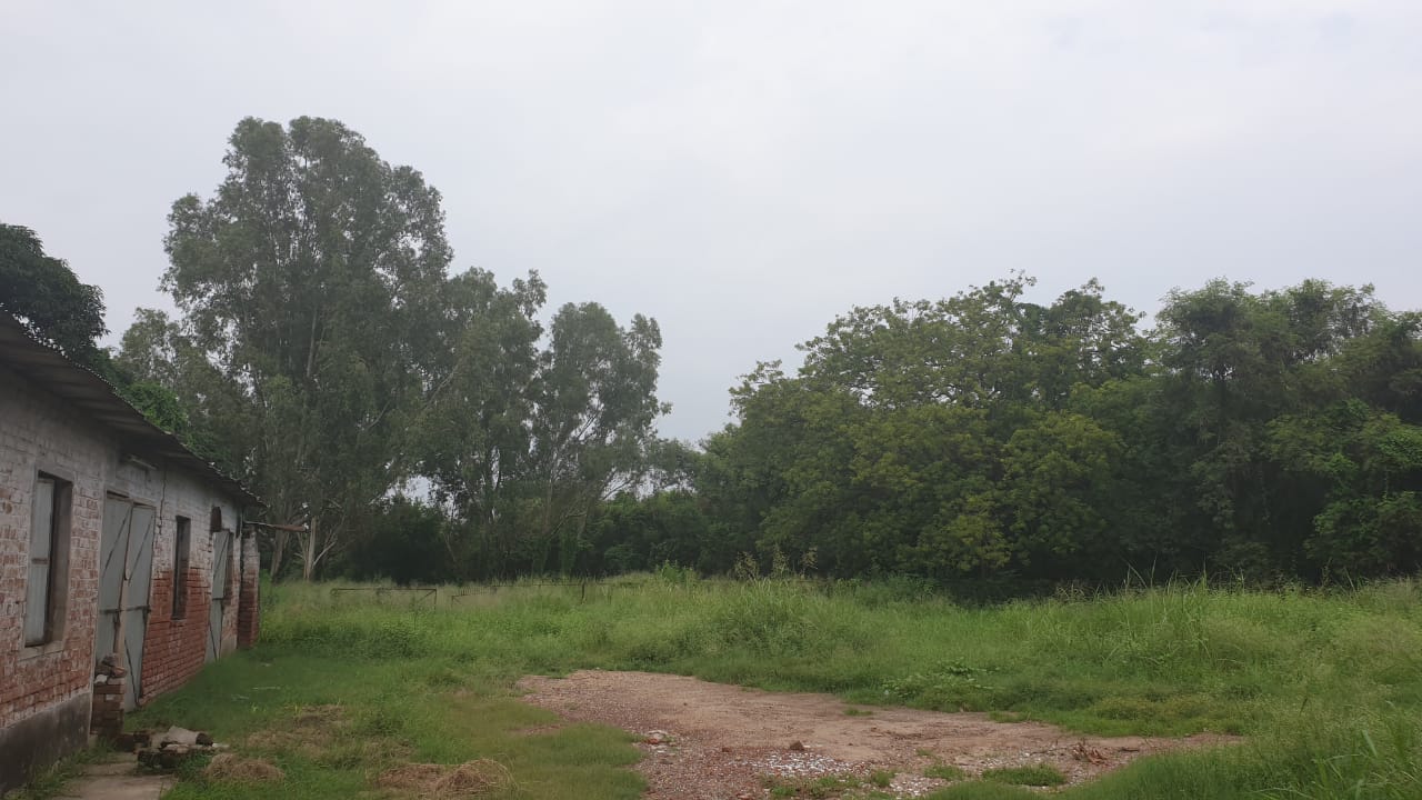 Industrial land Plot for Sale in Chandigarh