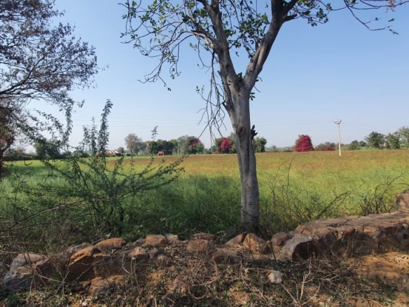 Farmland For Sale At Kharak Sohna, 5.75Acres 6km from ITC Grand Bharat Hotel