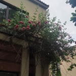 Lake Facing Villa For Sale At Tarudhan Valley