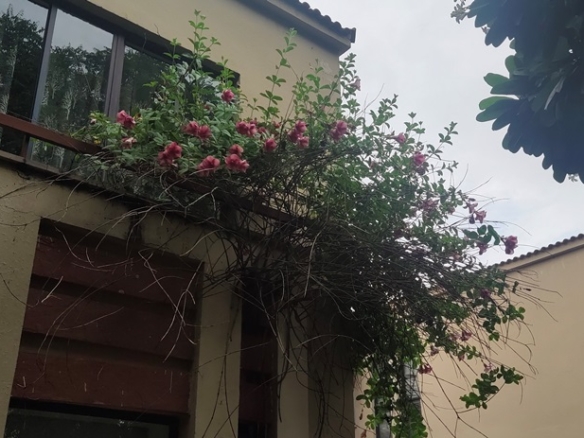 Lake Facing Villa For Sale At Tarudhan Valley