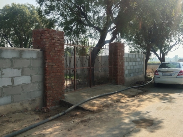 Agriculture Farm House Land With Boundary For Sale Near Pataudi Gurgaon Haryana