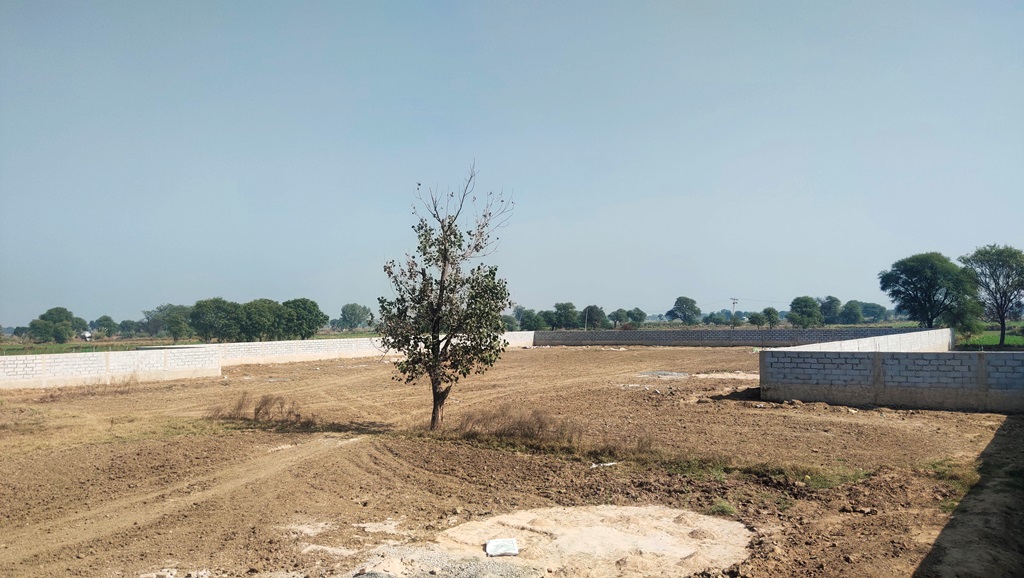 Agriculture Farm House Land With Boundary For Sale Near Pataudi Gurgaon Haryana