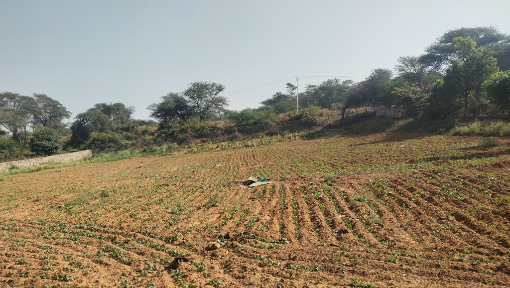 Agriculture Farmland For Sale 1Acre Gurgaon Silverglades