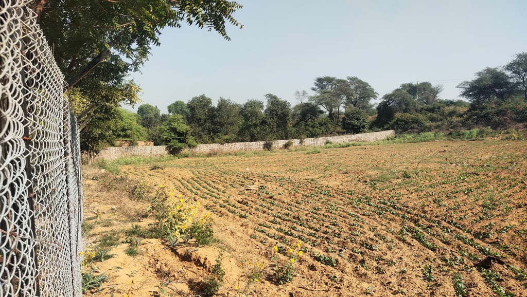 Agriculture Farmland For Sale 1Acre Gurgaon Silverglades