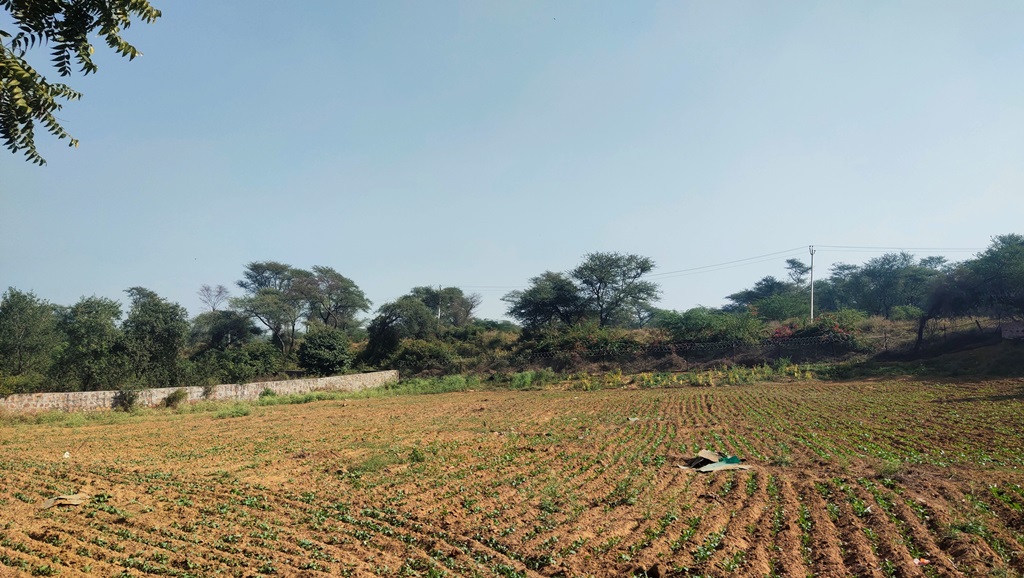 Agriculture Farmland For Sale 1Acre Gurgaon Silverglades