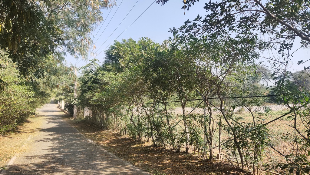 Agriculture Farmland For Sale 1Acre Gurgaon Silverglades