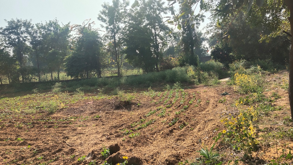 Agriculture Farmland For Sale 1Acre Gurgaon Silverglades