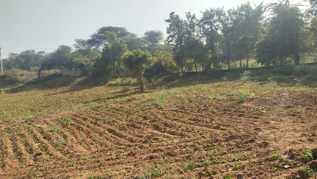 Agriculture Farmland For Sale 1Acre Gurgaon Silverglades