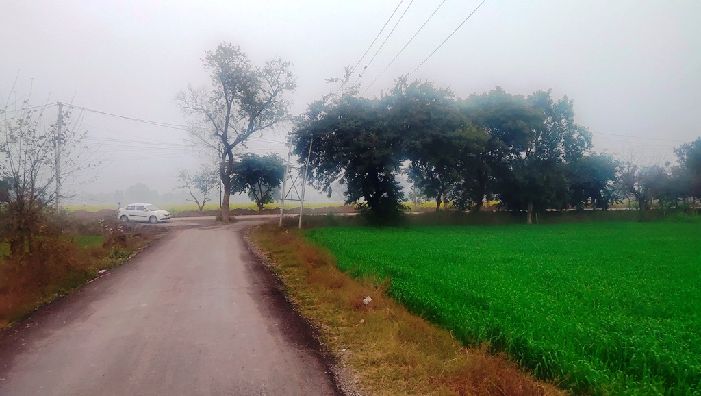 Agriculture Land For Sale Near Gurgaon With Frontage on State Highway Haryana 15Acres