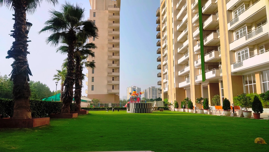 Apartment For Rent Or Lease In Gurgaon Sector 85 The Leaf By SS Group