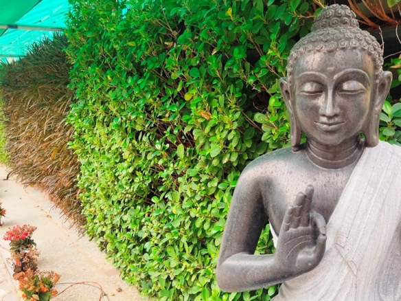 Apartment For Rent Or Lease In Gurgaon Sector 85 The Leaf By SS Group