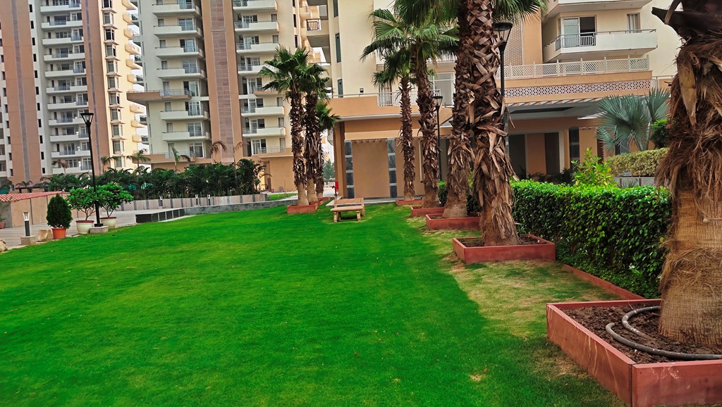 Apartment For Rent Or Lease In Gurgaon Sector 85 The Leaf By SS Group