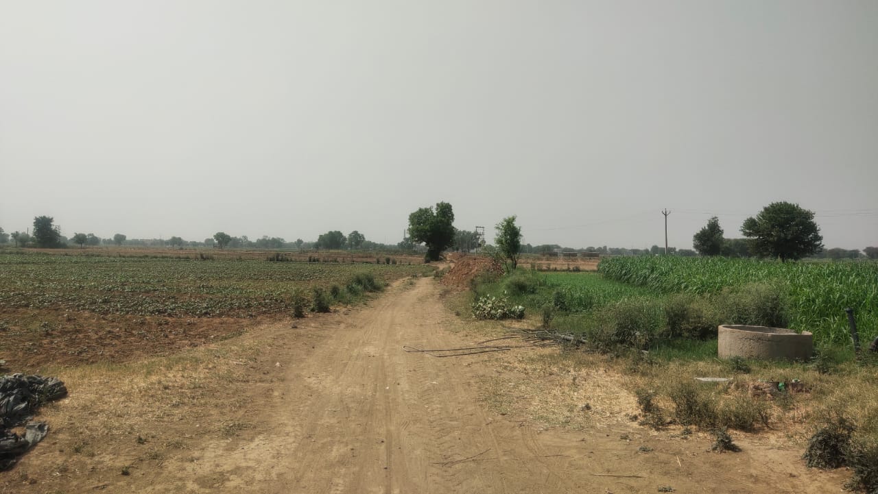 Agriculture Farm Land For Sale CLU Possible For Farmhouse 1.8Acre Near Pataudi