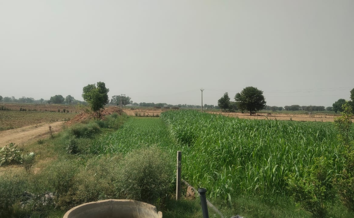 Agriculture Farm Land For Sale CLU Possible For Farmhouse 1.8Acre Near Pataudi