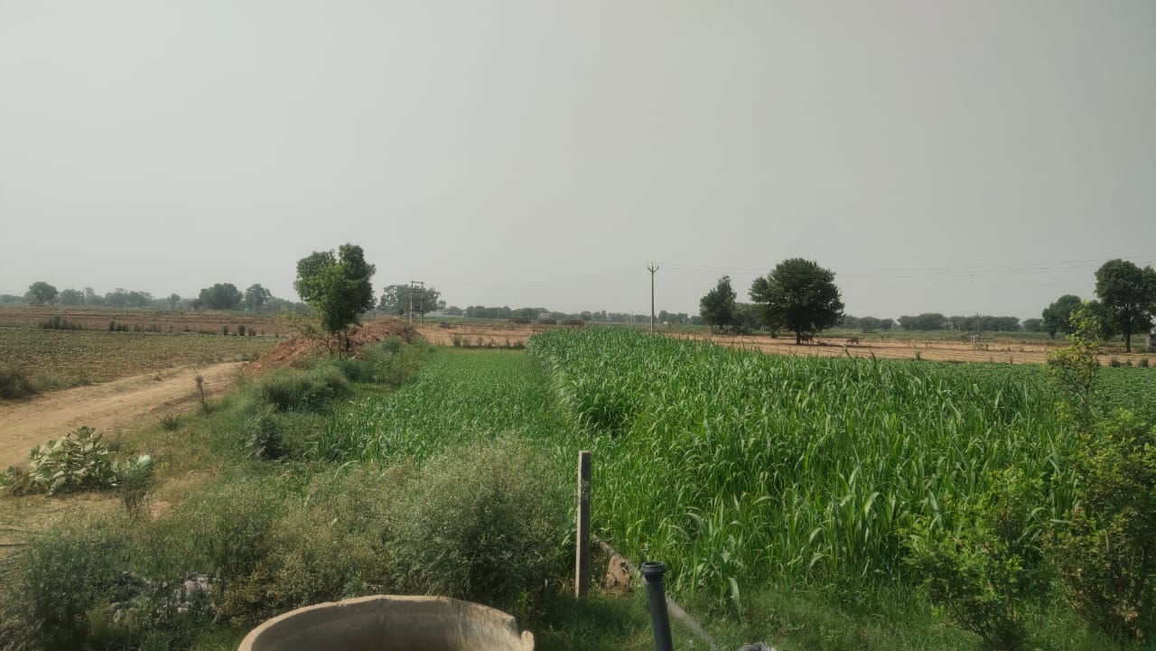 Agriculture Farm Land For Sale CLU Possible For Farmhouse 1.8Acre Near Pataudi