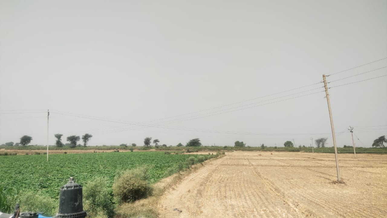 Agriculture Farm Land For Sale CLU Possible For Farmhouse 1.8Acre Near Pataudi