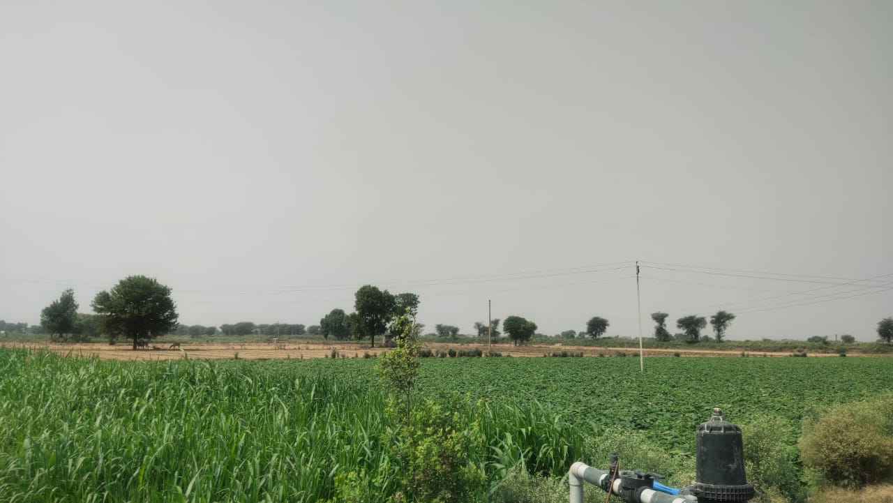 Agriculture Farm Land For Sale CLU Possible For Farmhouse 1.8Acre Near Pataudi