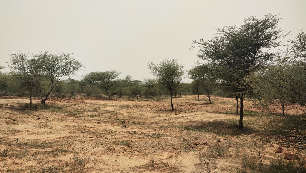 Land For Sale At Manesar For Industrial Warehousing or Agriculture Farm use