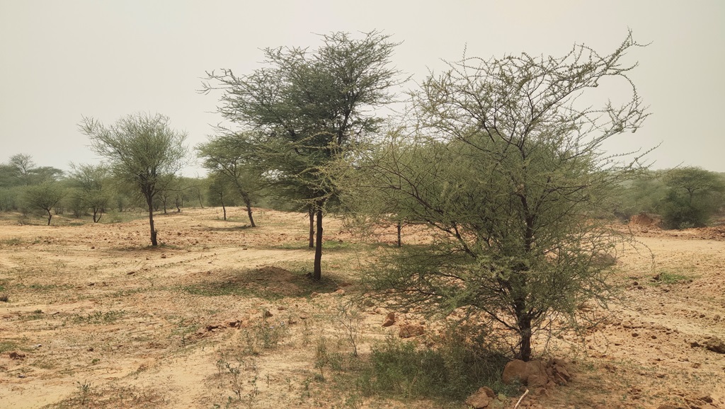 Land For Sale At Manesar For Industrial Warehousing or Agriculture Farm use