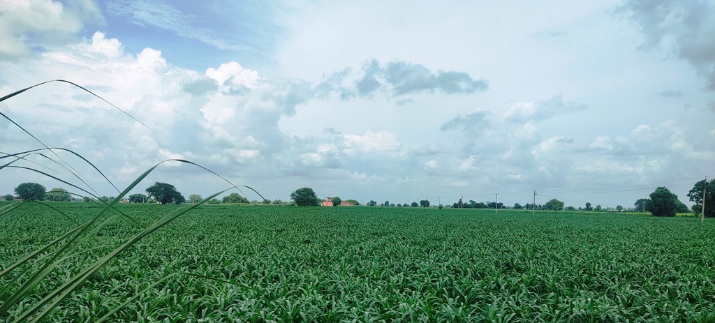 Agriculture Dairy Farm Land For Sale Near Gurgaon At Dharuhera Delhi Jaipur Highway Rewari