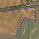 Land For Sale Near Pataudi Industrial & Warehouse CLU Possible