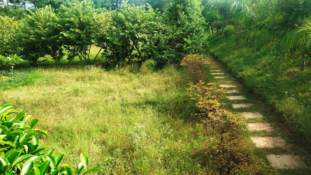 Agriculture Farm House Land for Sale Delhi Dera Mandi