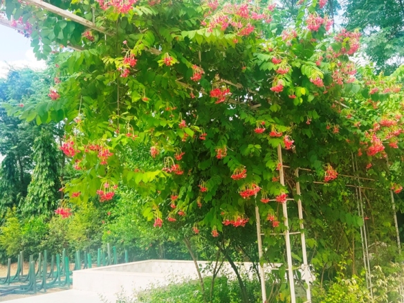 Agriculture Farm House Land for Sale Delhi Dera Mandi