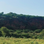 Agriculture Farm Land for Sale Manesar At Kota Bissar Road on Naurangpur Taoru Road Gurgaon