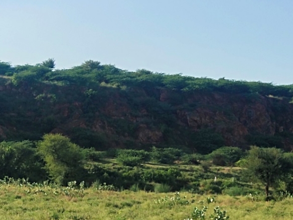 Agriculture Farm Land for Sale Manesar At Kota Bissar Road on Naurangpur Taoru Road Gurgaon