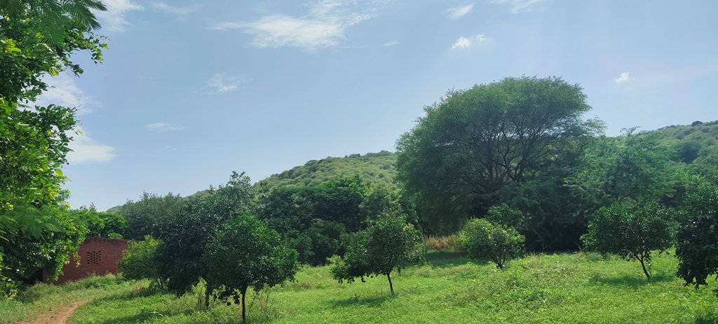 Agriculture Land For Sale In Gurgaon Near Golden Greens Golf & Resorts