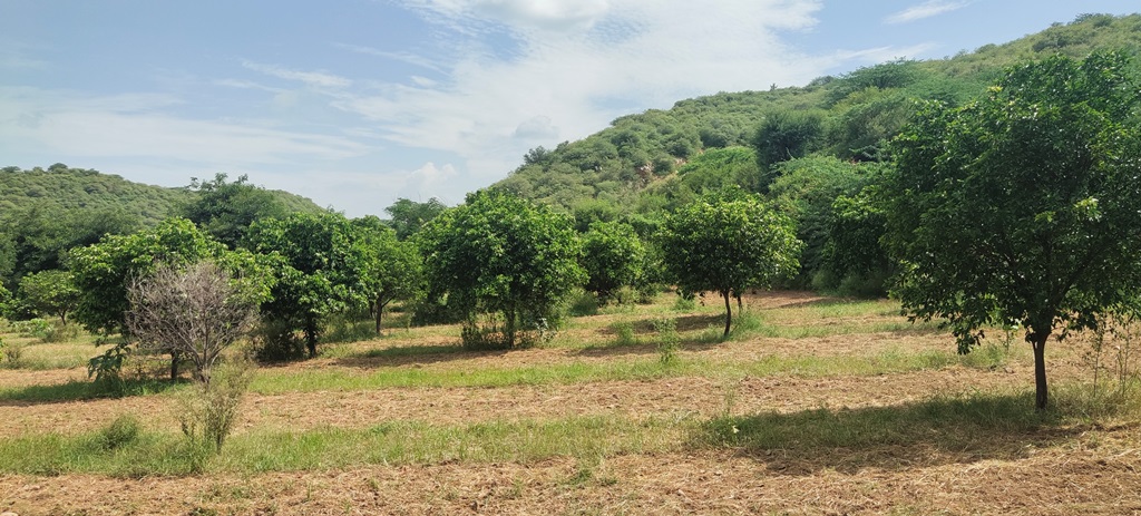 Agriculture Land For Sale In Gurgaon Near Golden Greens Golf & Resorts