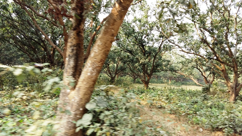 Land For Sale Kolkata West Bengal Near River Ganga