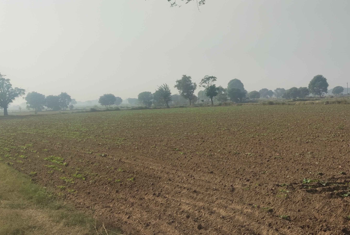 Cheap Agricultural Land For Sale In Haryana Near Gurawara Rewari Jhajjar Highway