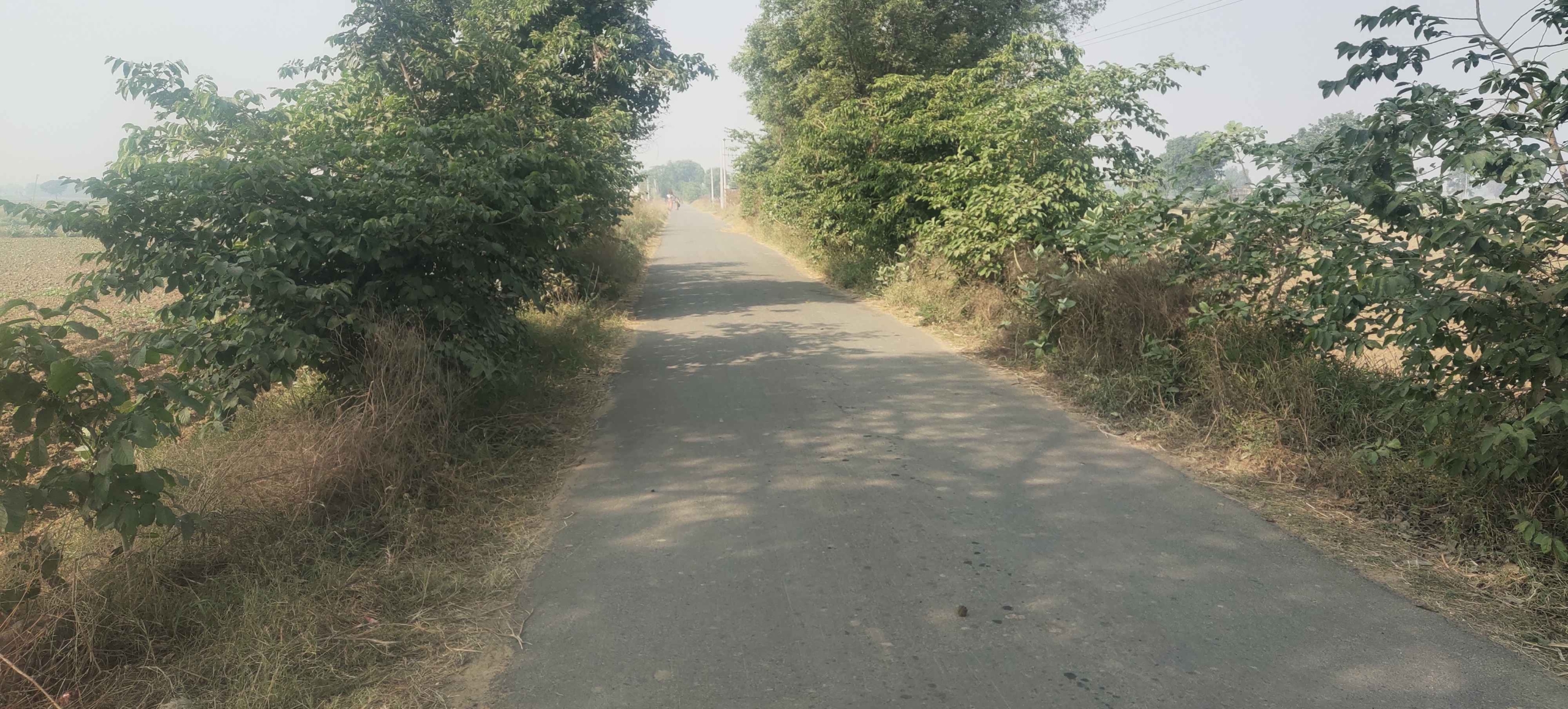 Cheap Agricultural Land For Sale In Haryana Near Gurawara Rewari Jhajjar Highway