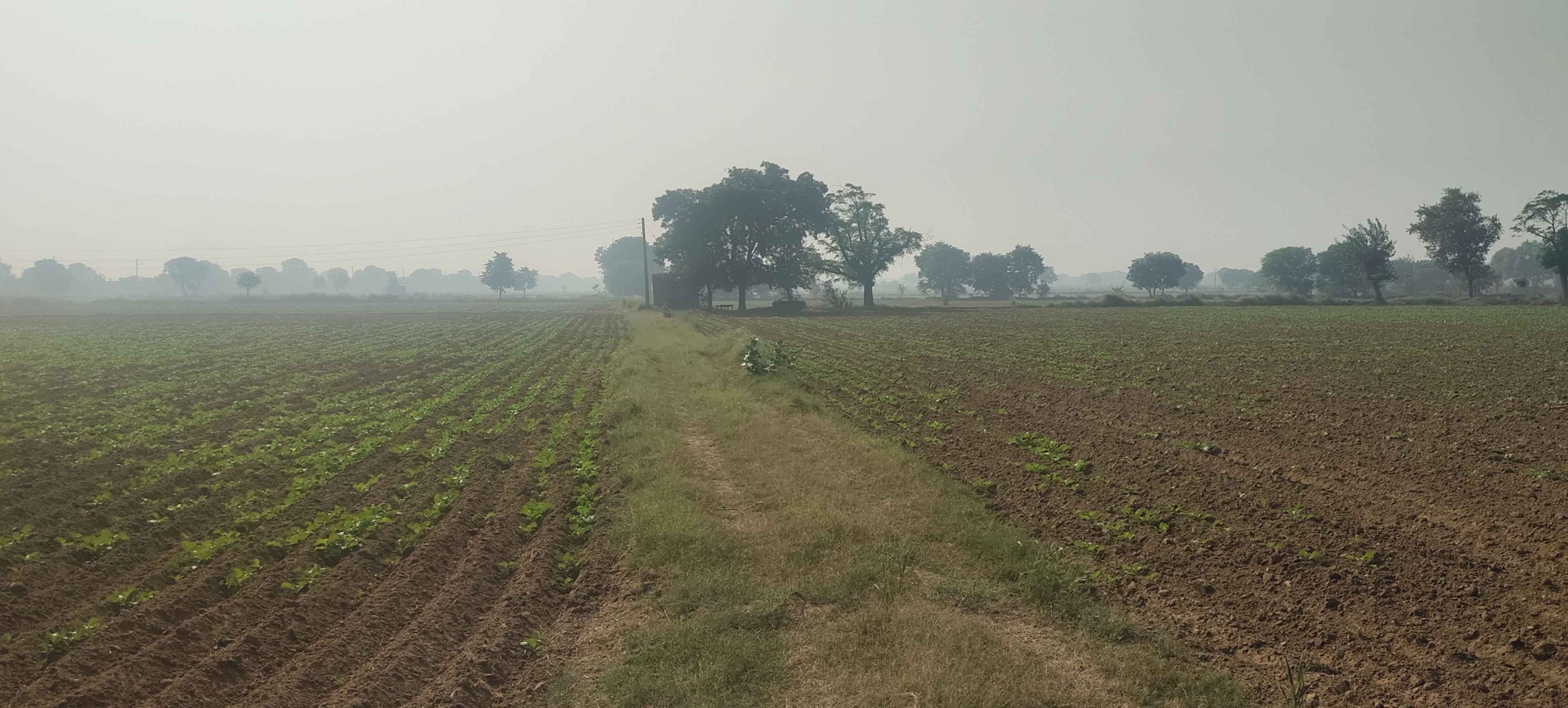 Cheap Agricultural Land For Sale In Haryana Near Gurawara Rewari