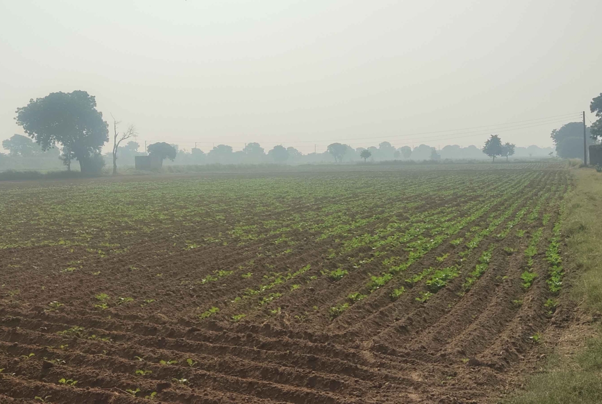 Cheap Agricultural Land For Sale In Haryana Near Gurawara Rewari Jhajjar Highway