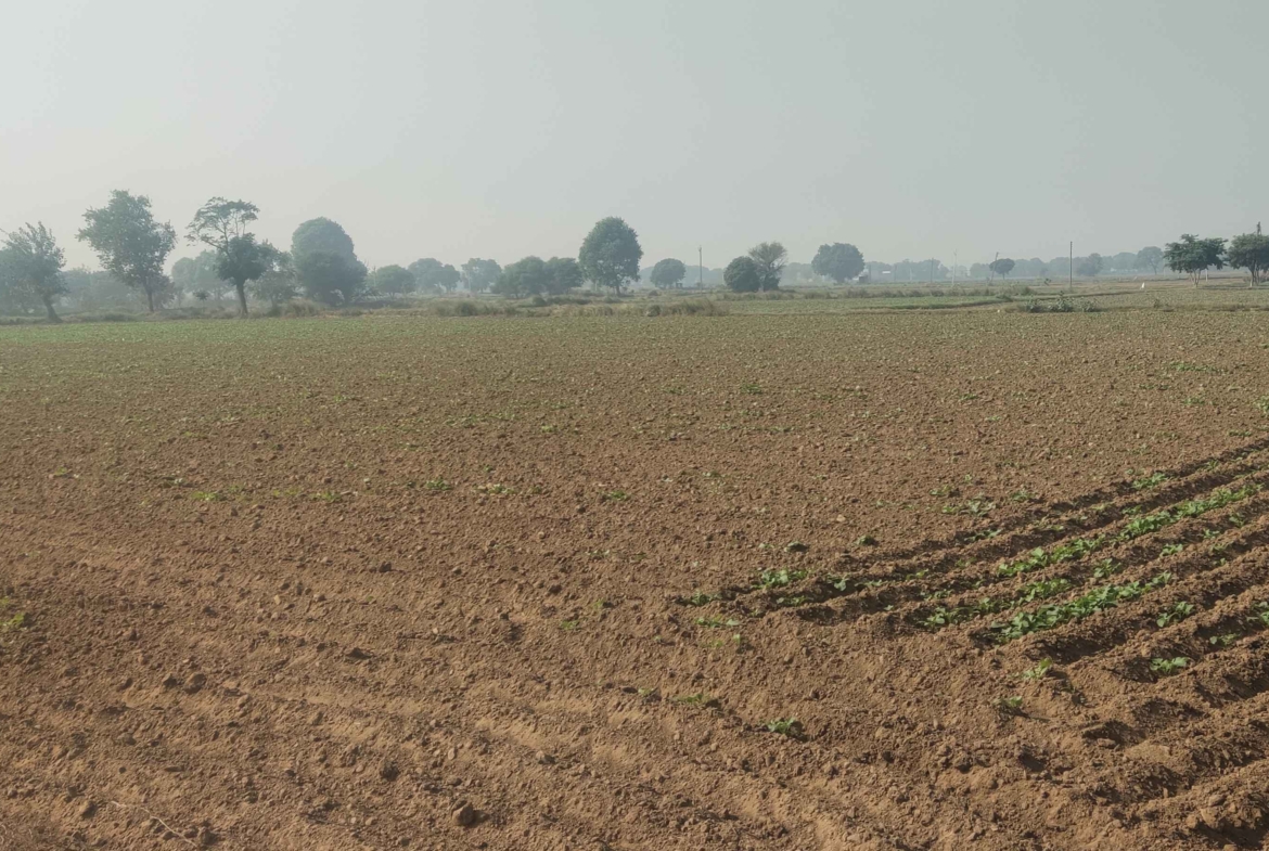 Cheap Agricultural Land For Sale In Haryana Near Gurawara Rewari Jhajjar Highway