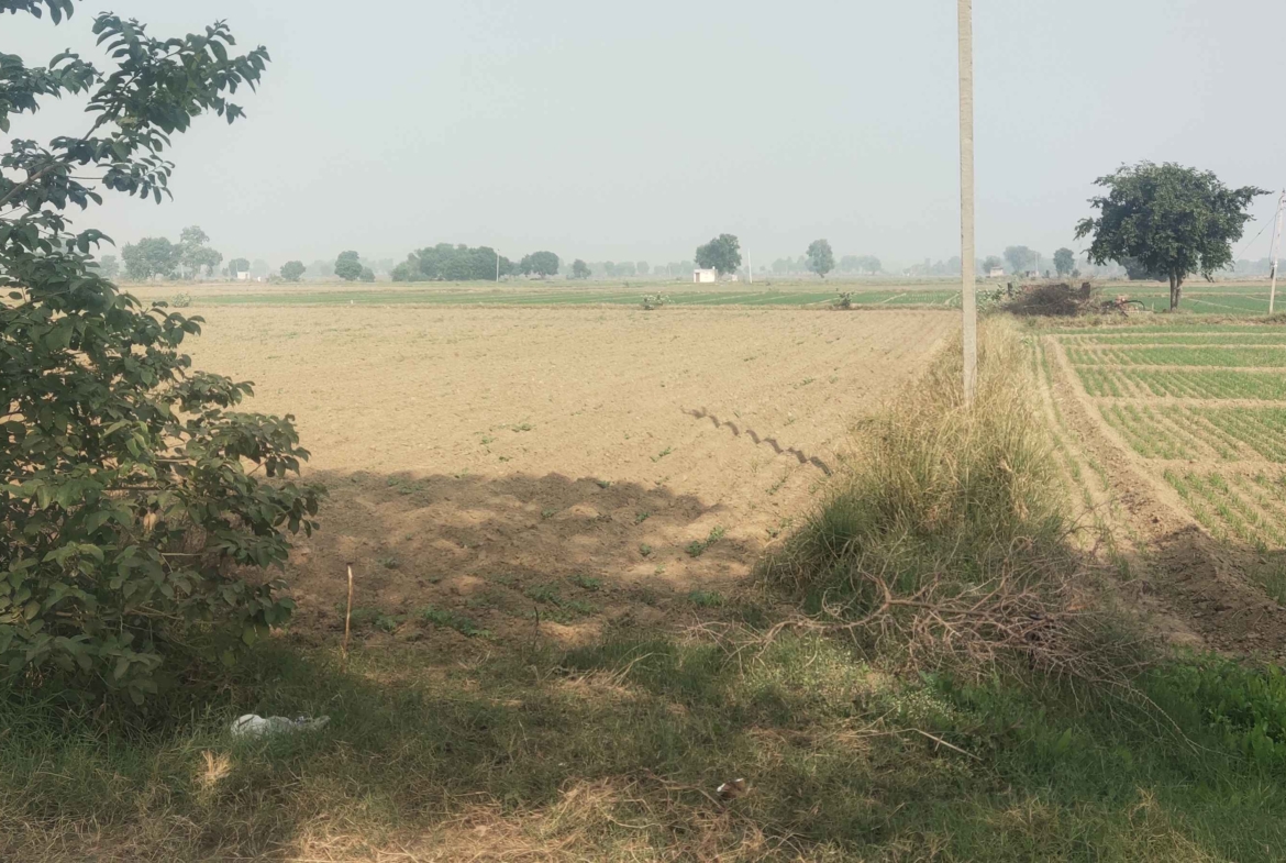 Cheap Agricultural Land For Sale In Haryana Near Gurawara Rewari Jhajjar Highway