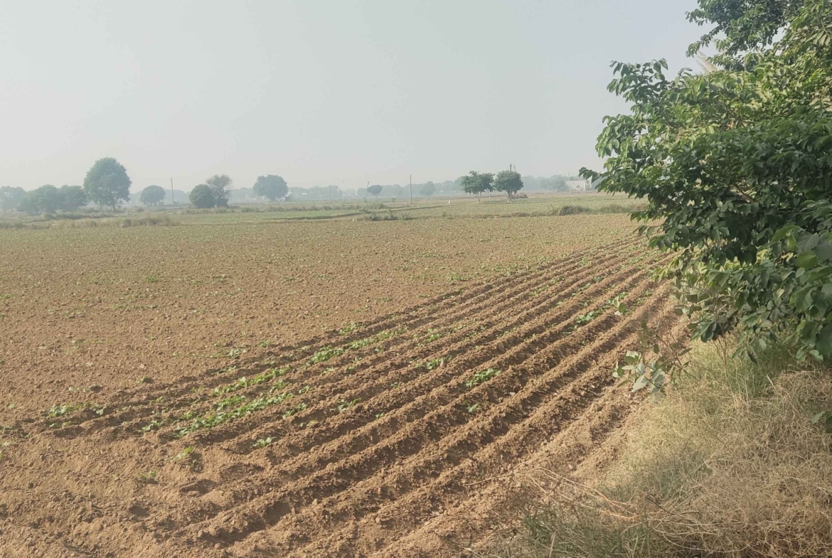 Cheap Agricultural Land For Sale In Haryana Near Gurawara Rewari Jhajjar Highway