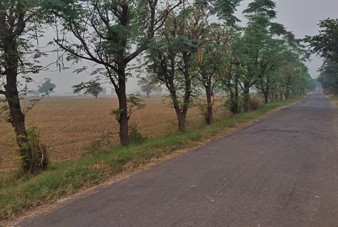 One Acre Farm Land With CLU For Farmhouse Nearby Pataudi Dharuhera Gurgaon