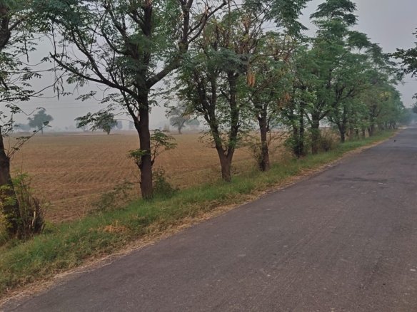 One Acre Farm Land With CLU For Farmhouse Nearby Pataudi Dharuhera Gurgaon