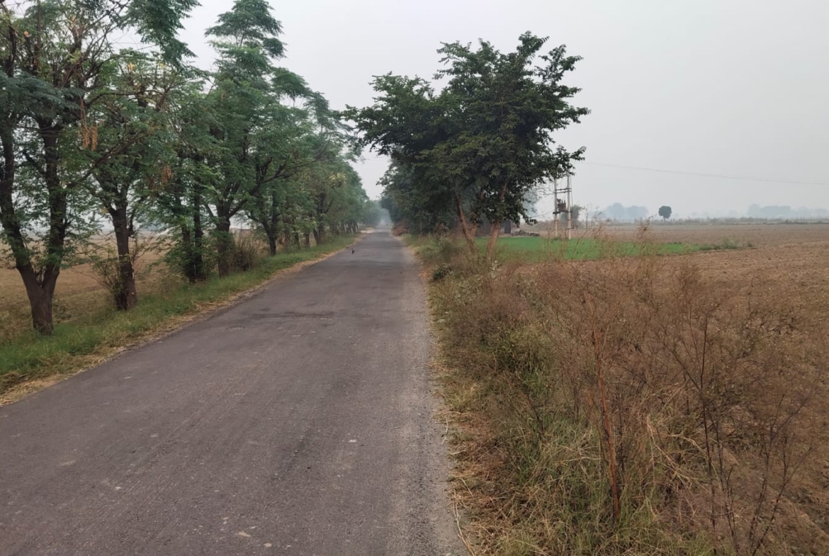 One Acre Farm Land With CLU For Farmhouse Nearby Pataudi Dharuhera Gurgaon