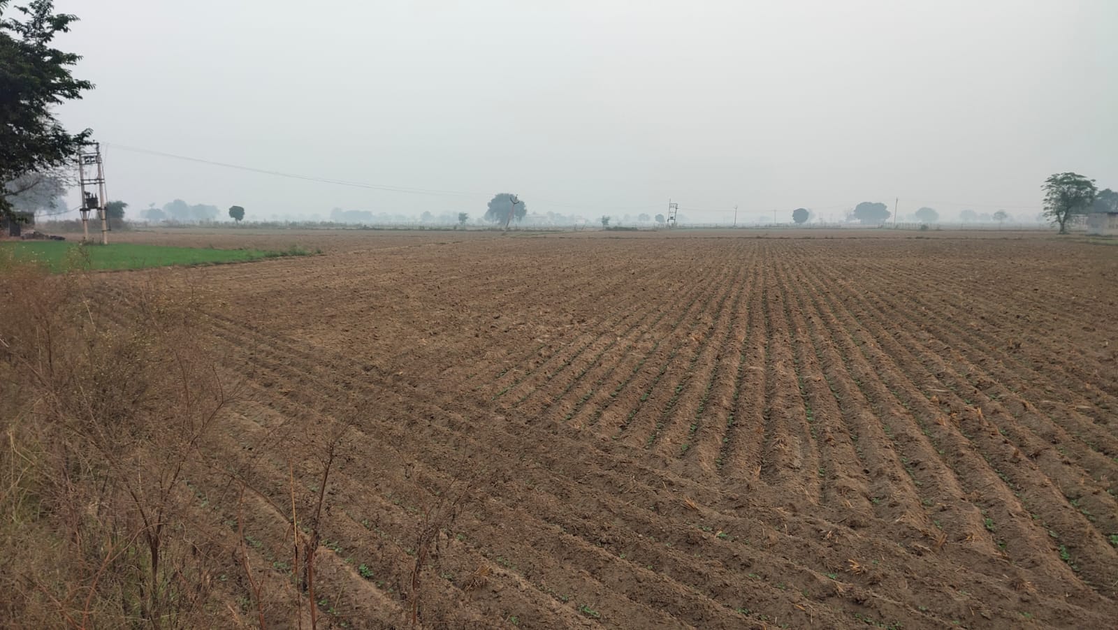 One Acre Farm Land With CLU For Farmhouse Nearby Pataudi Dharuhera Gurgaon