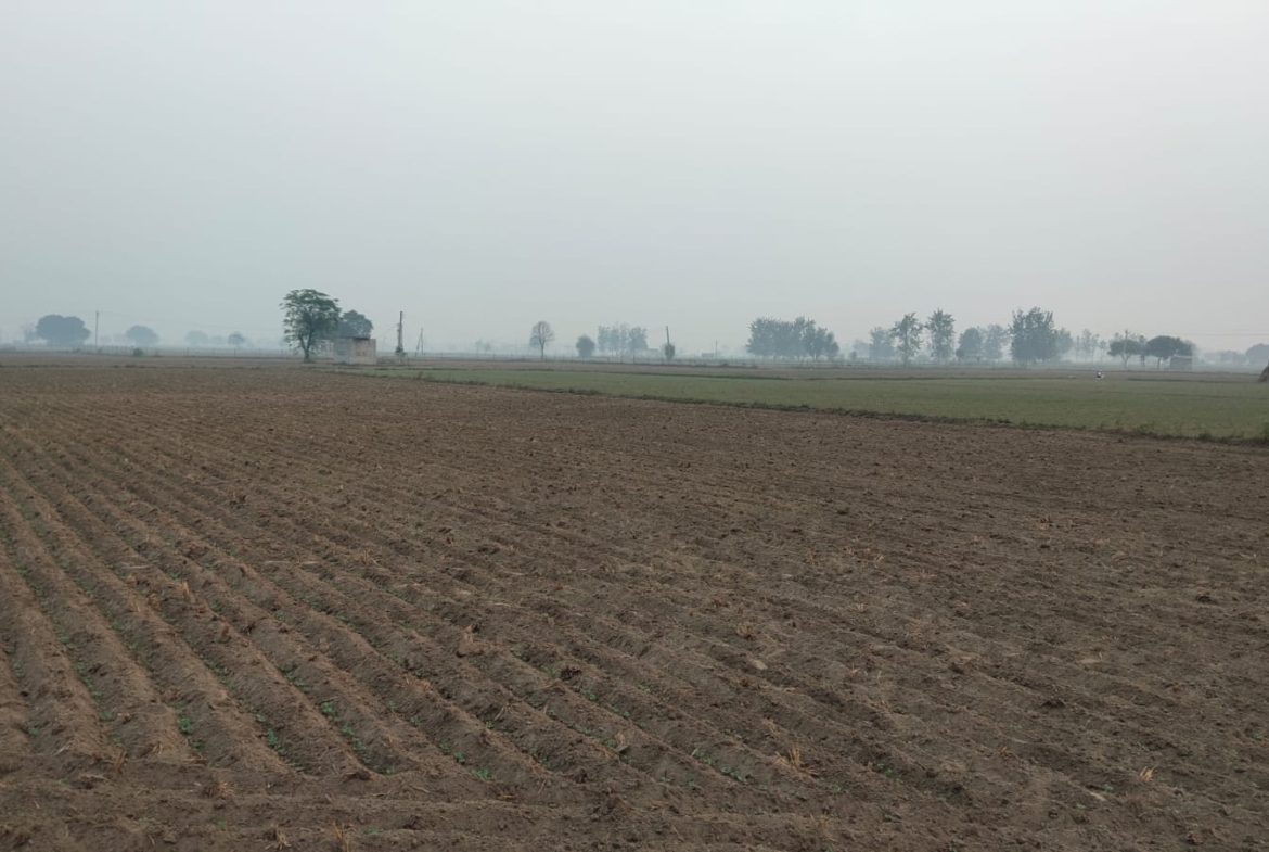 One Acre Farm Land With CLU For Farmhouse Nearby Pataudi Dharuhera Gurgaon