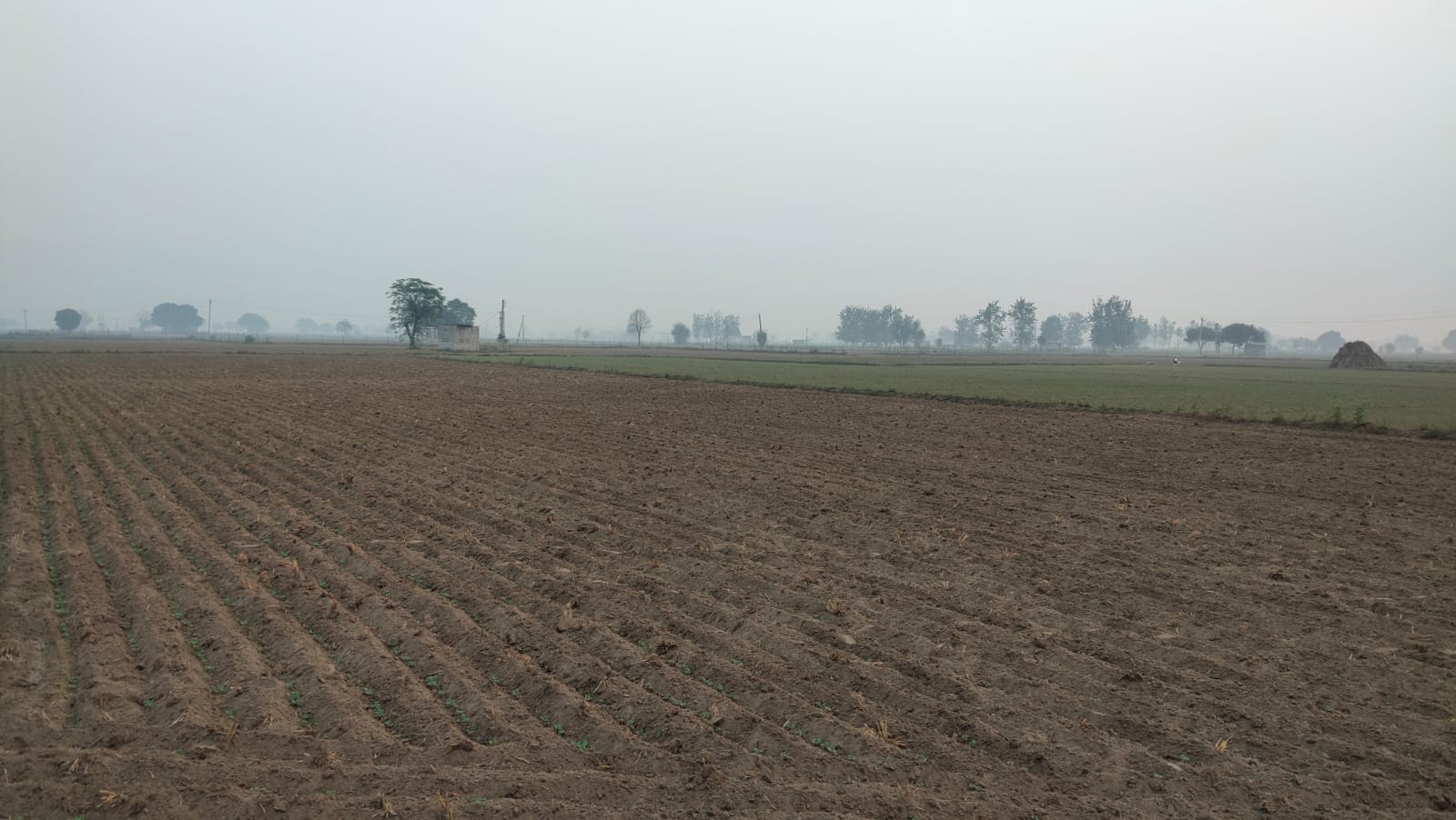 One Acre Farm Land With CLU For Farmhouse Nearby Pataudi Dharuhera Gurgaon