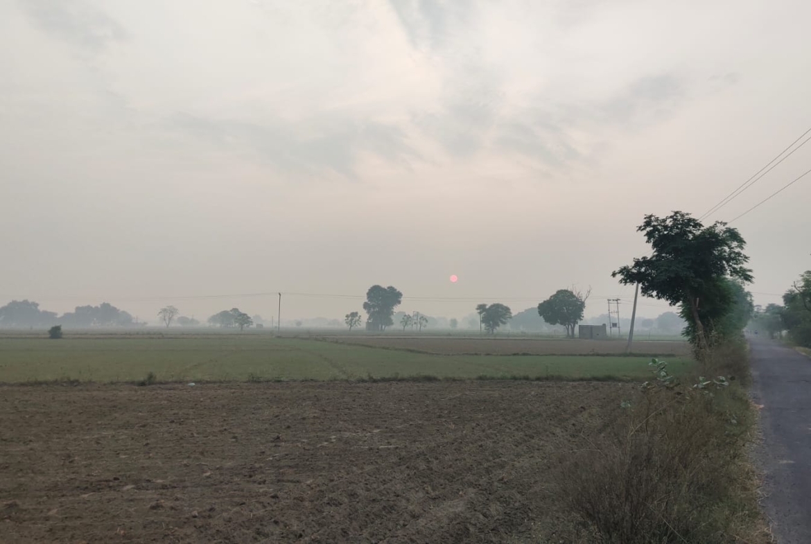 One Acre Farm Land With CLU For Farmhouse Nearby Pataudi Dharuhera Gurgaon