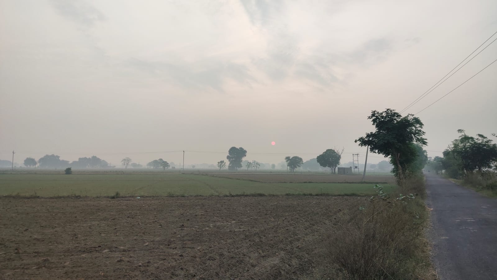 One Acre Farm Land With CLU For Farmhouse Nearby Pataudi Dharuhera Gurgaon