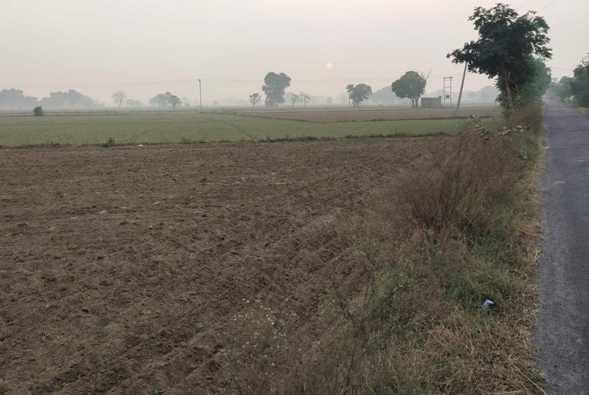 One Acre Farm Land With CLU For Farmhouse Nearby Pataudi Dharuhera Gurgaon